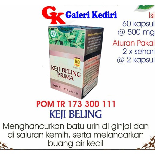 Jual Herbal Batu Ginjal (Ekstrak Keji Beling) 60 Kapsul Super Prima ...