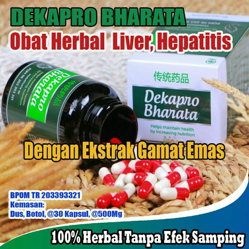 Jual Obat Liver, Hepatitis Dan Kanker Hati Mujarab I Dekapro Bharata ...