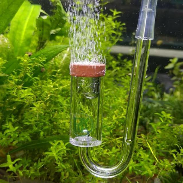 Jual Diffuser CO2 Diy ragul cisod full akrilik Bray deep for Aquascape Shopee Indonesia