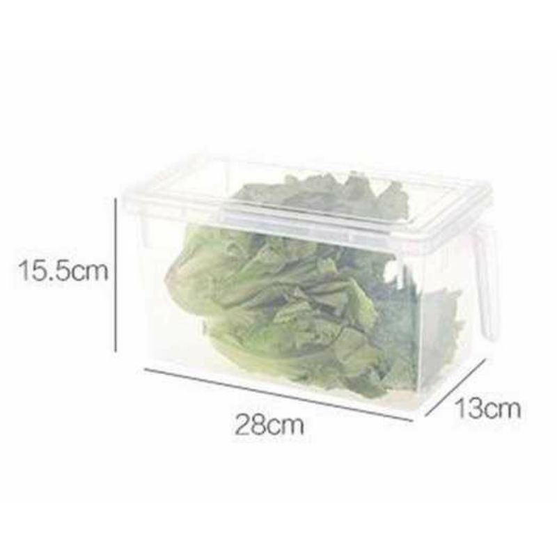 Jual Strongwell Kotak Kontainer Makanan Kulkas Kitchen Storage Food Box ...