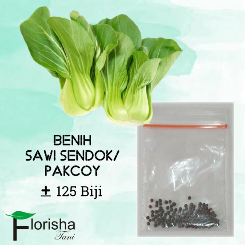 Jual Benih Bibit Biji Sawi Sendok Pakcoy Kemasan Kecil Repack Shopee