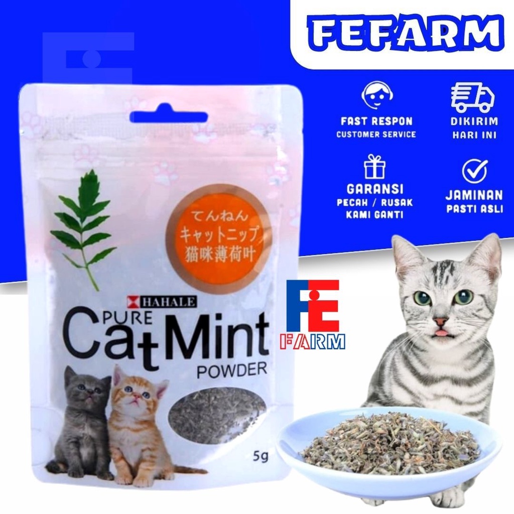 Jual Catnip catmint cat mint PURE CATMINT POWDER BIKIN FLY KUCING FEFARM Shopee Indonesia