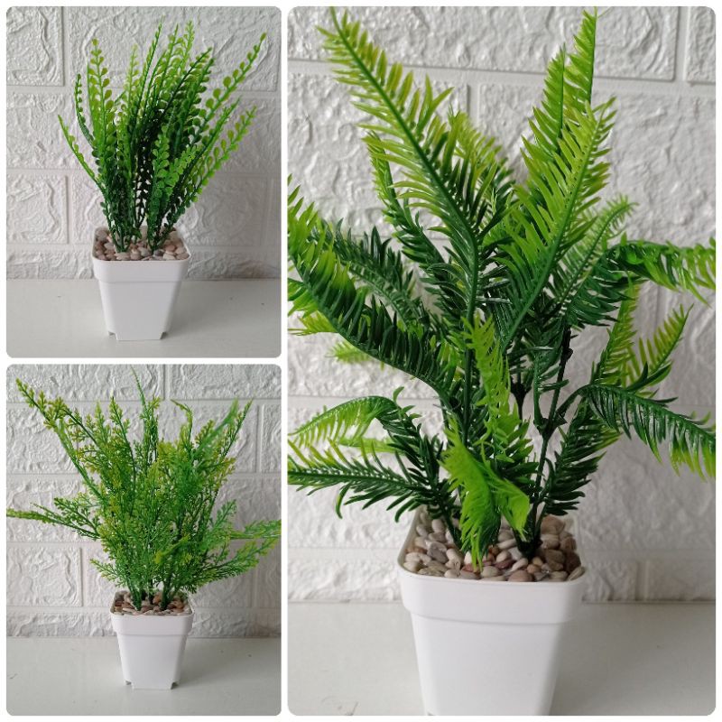 Jual Rangkaian daun pakis dekorasi pot kotak 7 cm | Shopee Indonesia