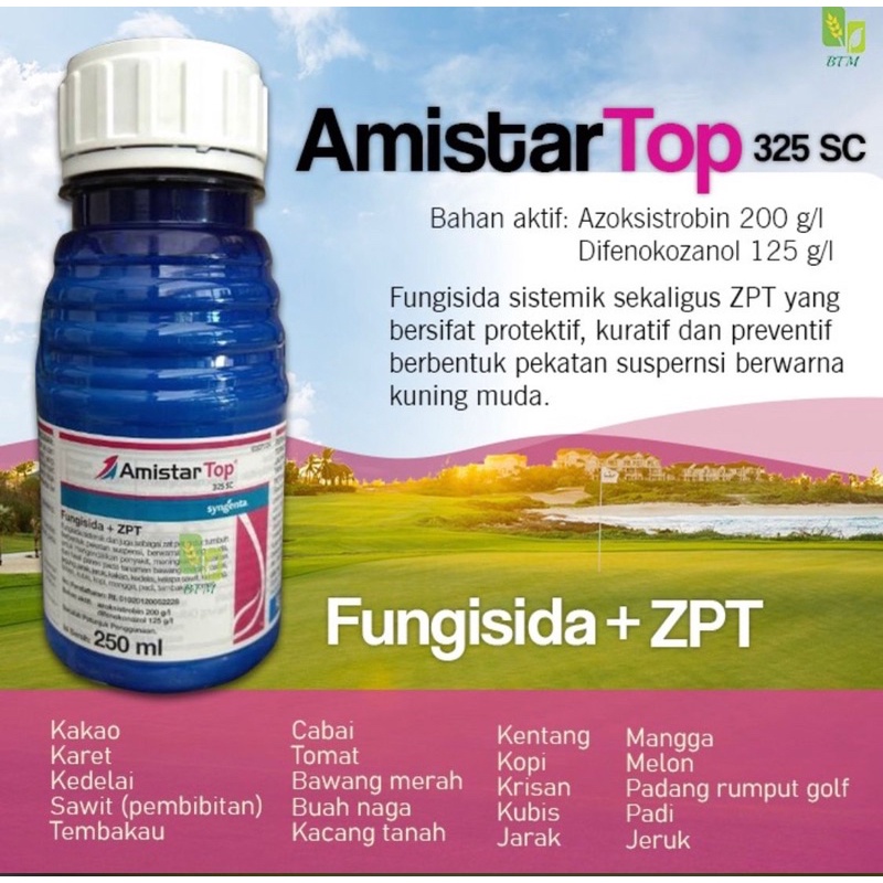 Jual Fungisida Syngenta Amistar Top Sc Ml Shopee Indonesia