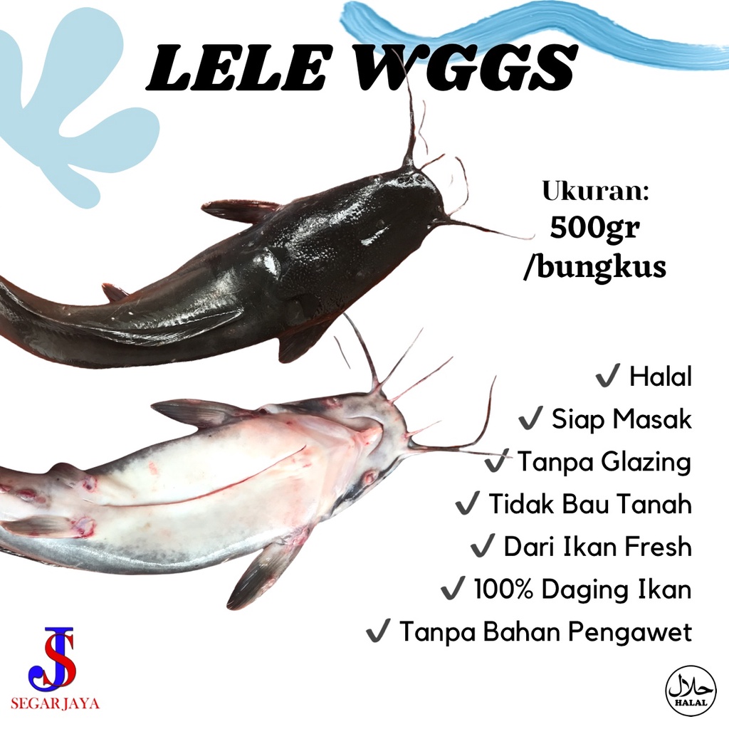 Jual Ikan Lele WGGS Siangin Fresh Segar SIAP MASAK | Shopee Indonesia