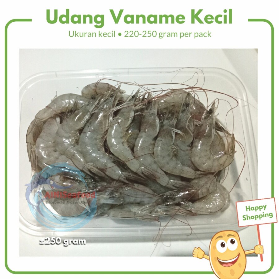 Jual udang vaname vanami kecil segar fresh shrimp seafood surabaya ...