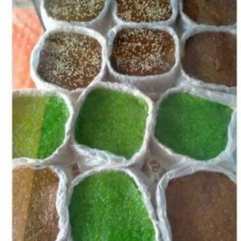 Jual Jenang Cipta Rasa Oleh Oleh Khas Blitar | Shopee Indonesia