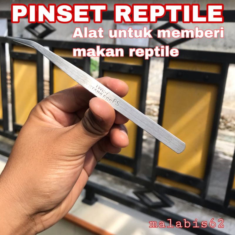 Jual Pinset Reptile / Ikan predator Alat untuk memberi makan hewan ...