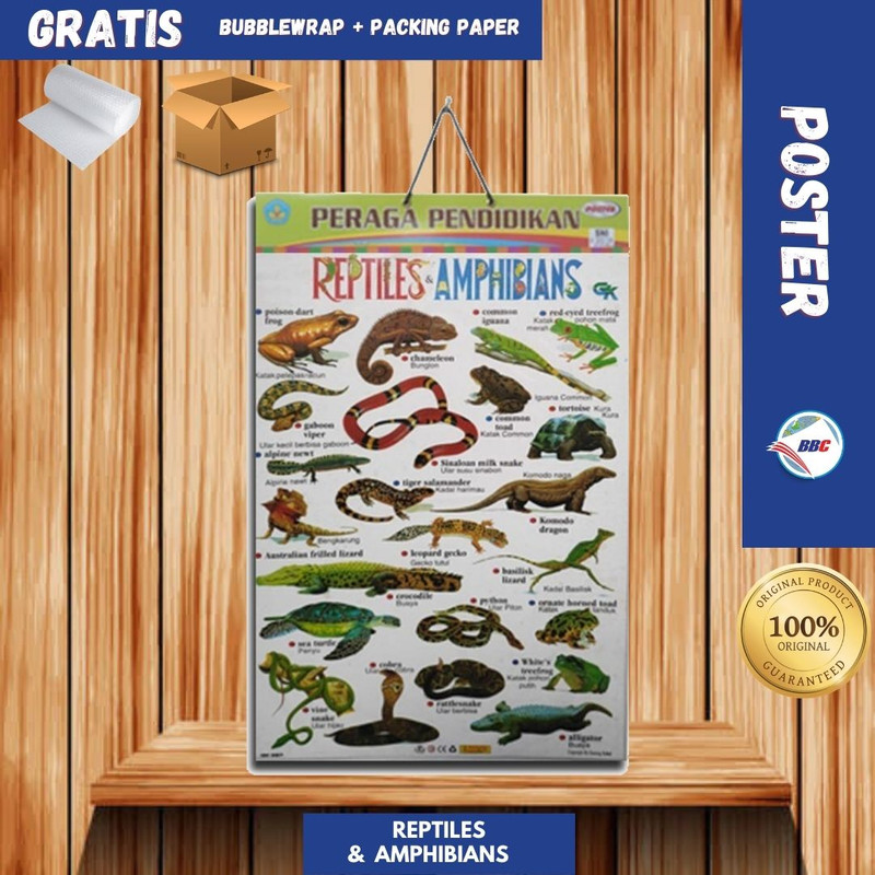 Jual POSTER EDUKASI REPTILES & AMPHIBIANS | Shopee Indonesia