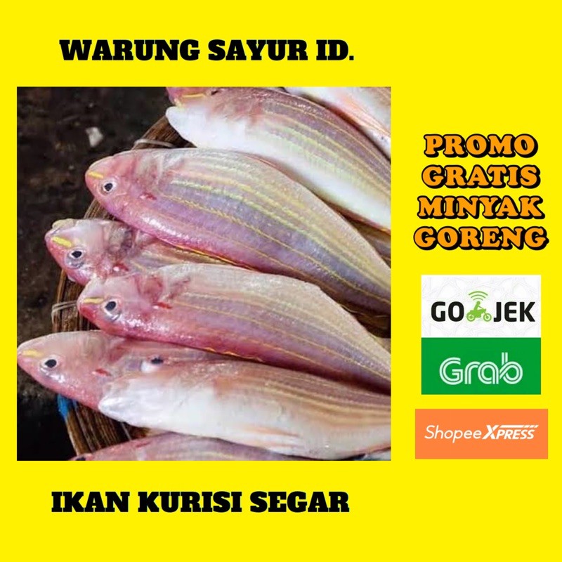 Jual Ikan Seger Kurisi 500 Gram Shopee Indonesia