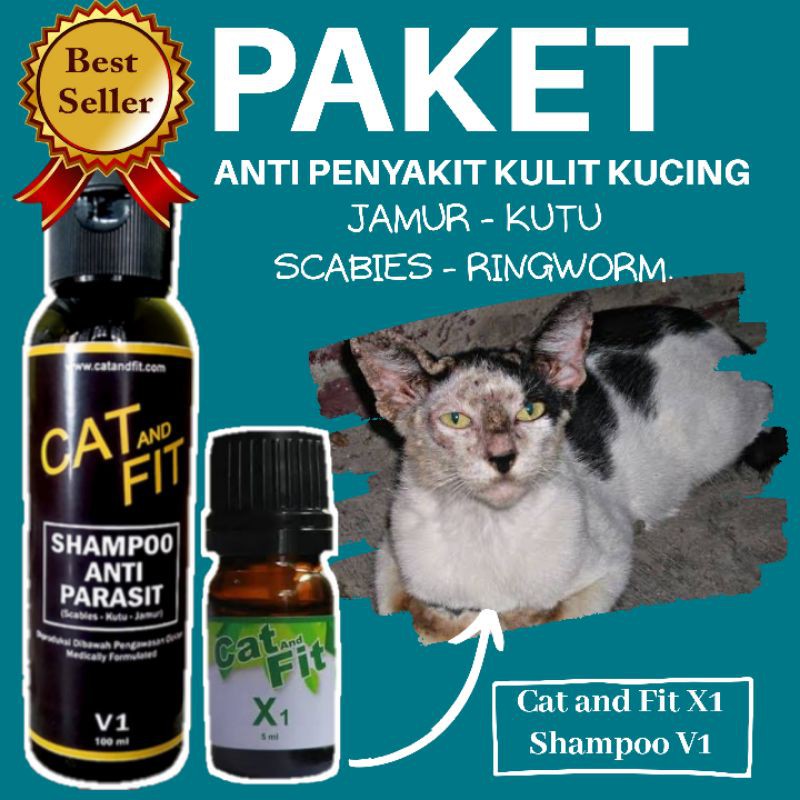 Jual {PROMO!!!} PAKET OBAT KUCING CAT AND FIT X1 DAN SHAMPOO V1 OBAT ...