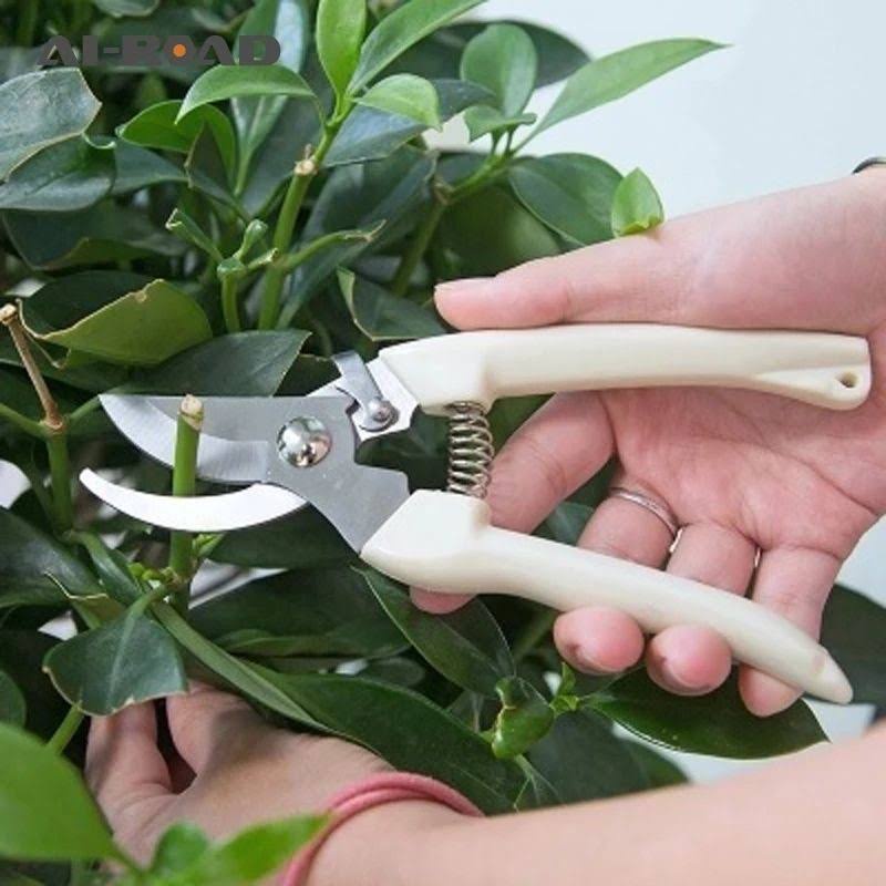Jual Gunting Dahan/ Gunting Ranting Tanaman Putih (curved) - Merk ...