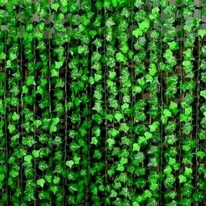 Jual Daun rambat hias | Shopee Indonesia