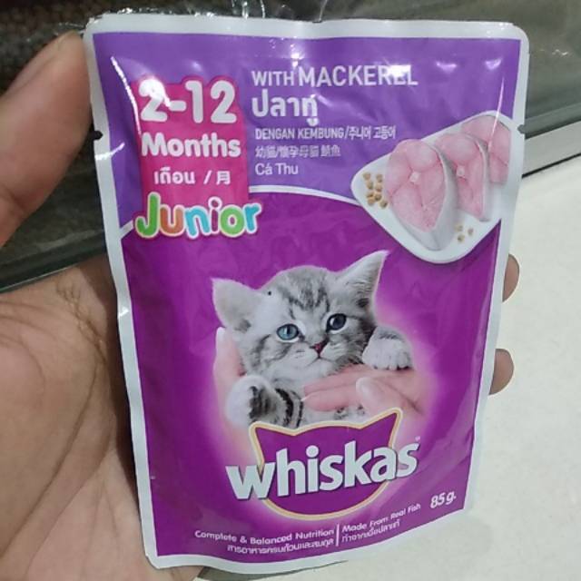 Jual WHISKAS JUNIOR Shopee Indonesia