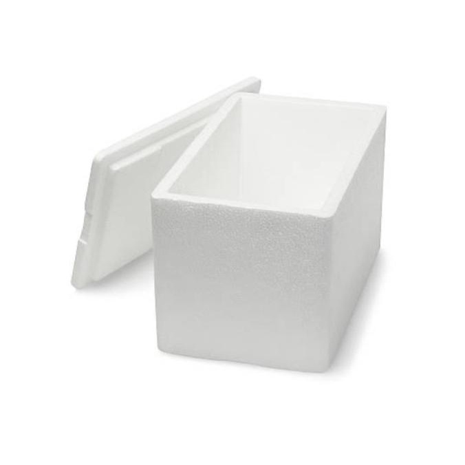 Jual Paket Styrofoam box + Dry Ice ( Barang Frozen ) Shopee Indonesia