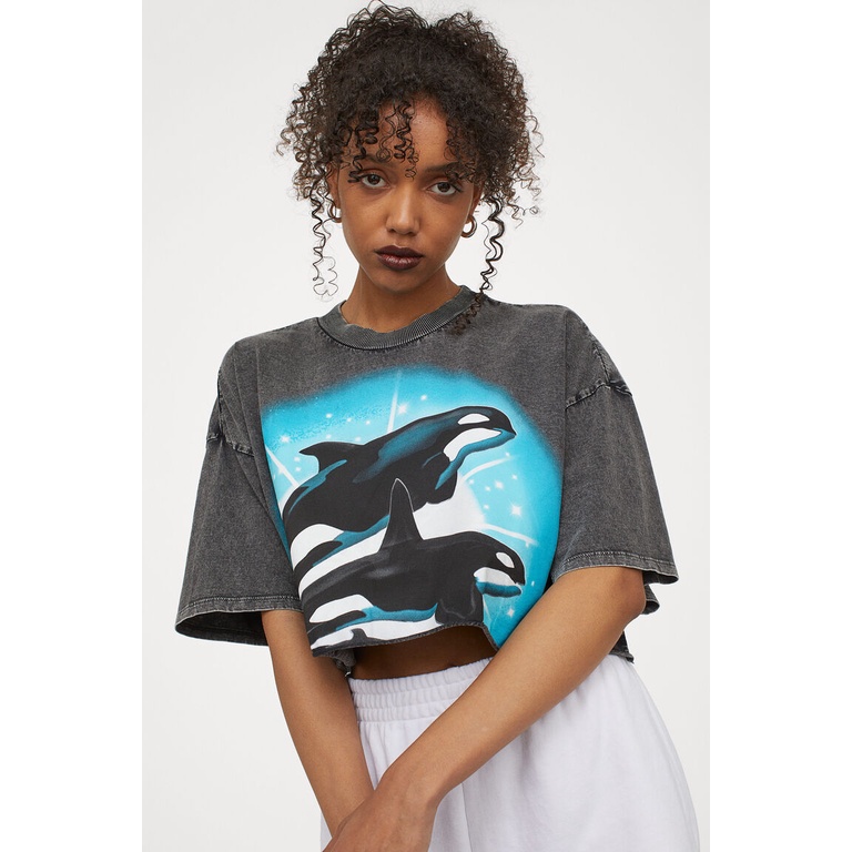 Boxy Top h m Tshirt Crop Top Boxy Hnm Paus Orca