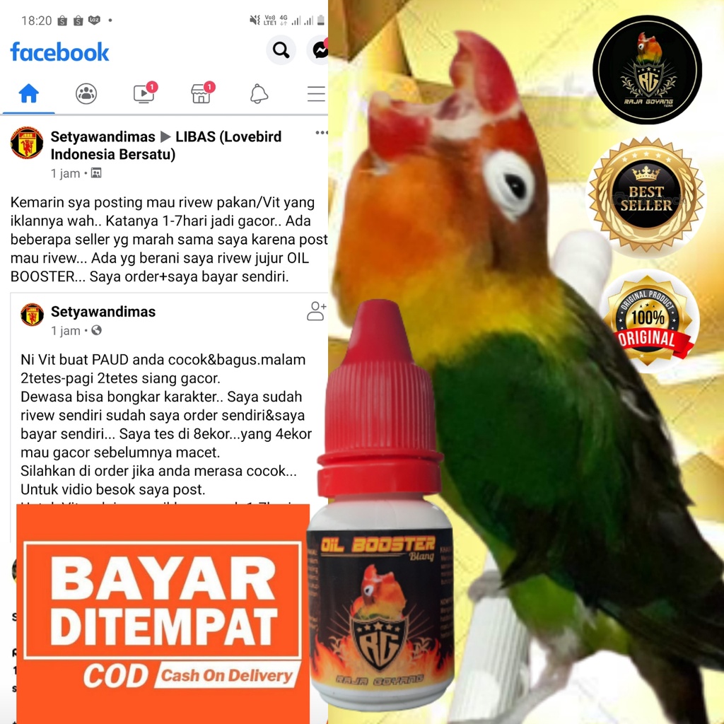 Jual OIL BOOSTER MERAH/RAJA GOYANG | Shopee Indonesia