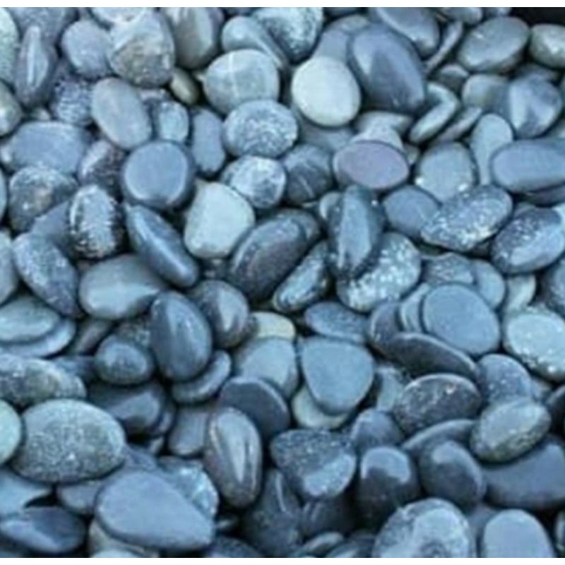 Jual BATU TAMAN MURAH / BATU KORAL HITAM 12 KG | Shopee Indonesia