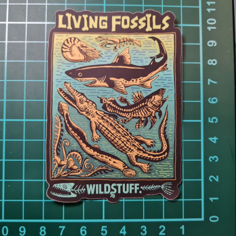 Jual STICKER LIVING FOSSILS | Shopee Indonesia