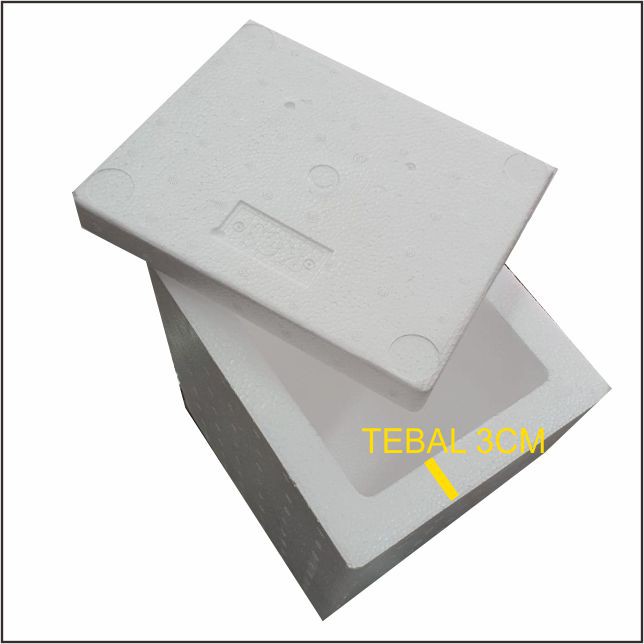 Jual Styrofoam box / gabus box 25 x 20 x 32cm wwn kecil | Shopee Indonesia