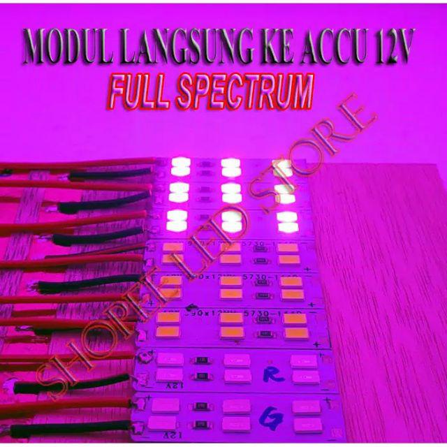 Jual HPL LED MODUL 2 WATT 12VOLT 6LED SMD 5730 2W Putih Papan PCB ...