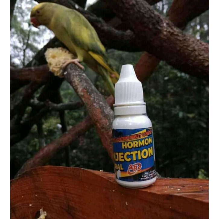 Jual Vitamin Hormon Injection Oral Untuk Lovebird Kicau Shopee Indonesia