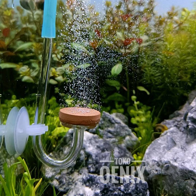 Diffuser shop co2 aquascape