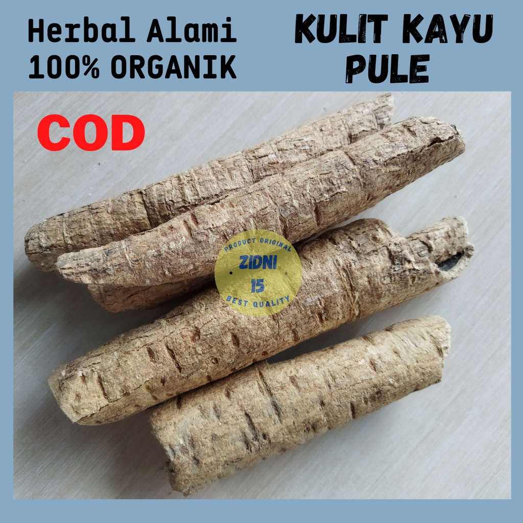 Jual Kayu Pule Terlengkap & Harga Terbaru Juli 2026 | Shopee Indonesia