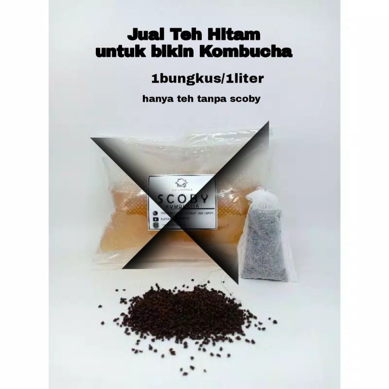 Jual TEH HITAM BIKIN KOMBUCHA (TEA BAG) Shopee Indonesia