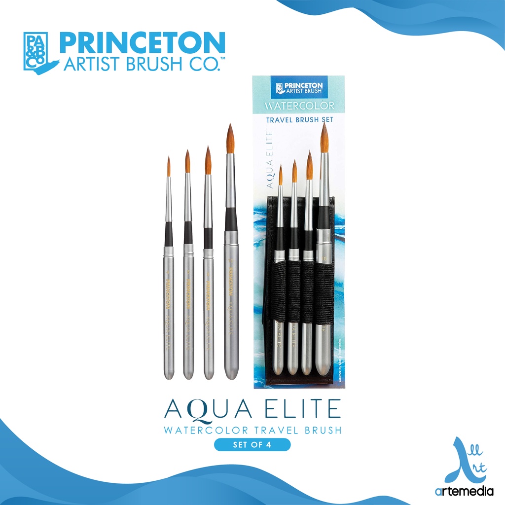 Aqua Elite Travel Brush Set