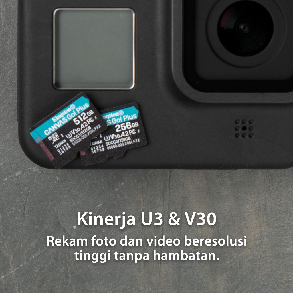 Kingston Canvas Go! Plus Class 10 microSD Card 256GB (SDCG4/256GBSP) (6)