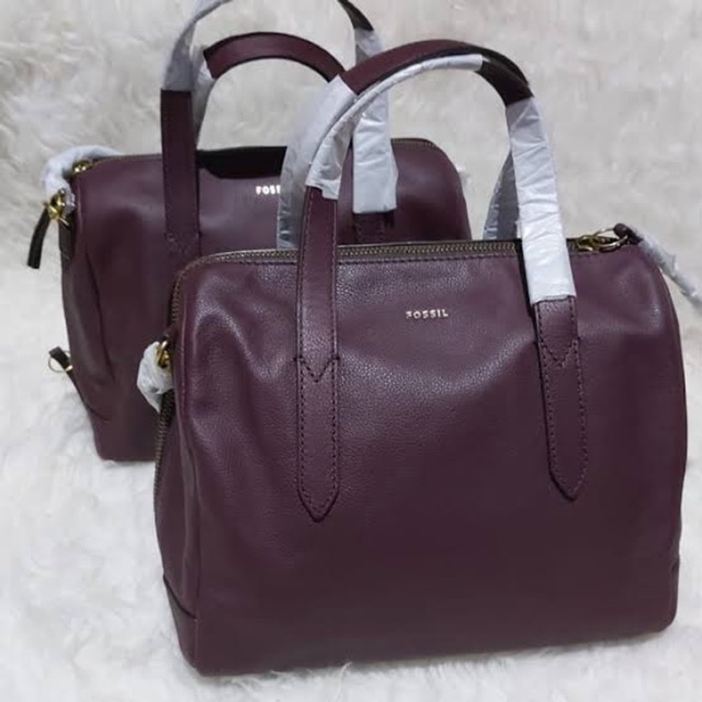 Fossil store hailey satchel