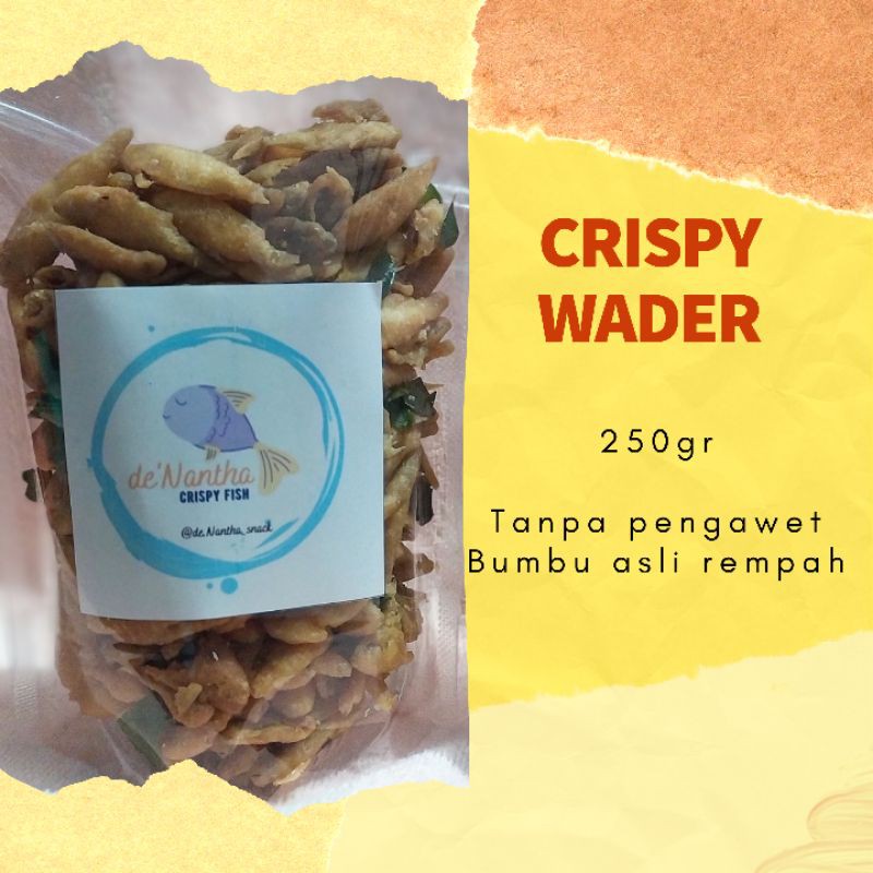 Jual Wader Crispy Crispy Wader Keripik Wader Shopee Indonesia