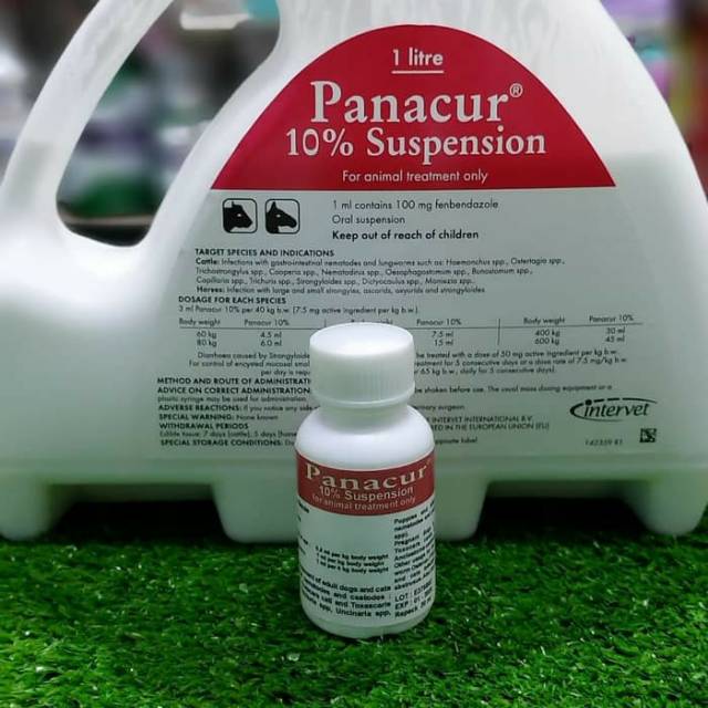 Jual Panacur 10% Obat Cacing Cair 20ml 1ml Contain 100mg Febendazole ...