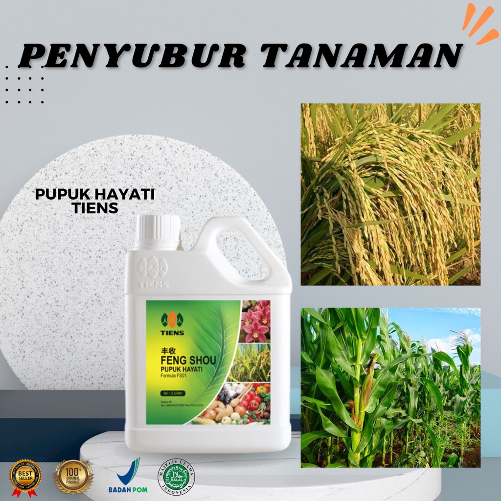 Jual Pupuk Feng Shou Tiens | Penyubur Tanaman Penguat Tanaman L Pupuk ...