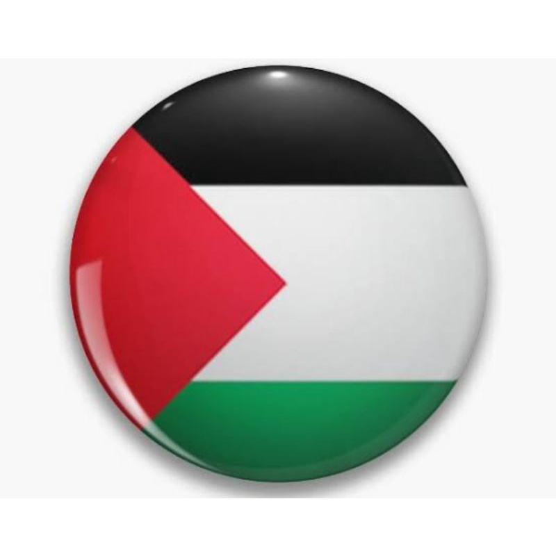 Activisten maken het publiek bang voor de Palestijnse vlag - Joop