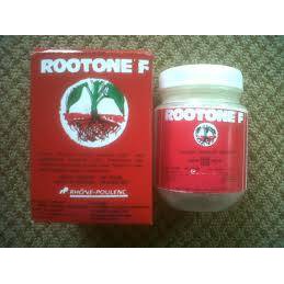 Jual Hormon Perangsang Akar Rootone F | Shopee Indonesia