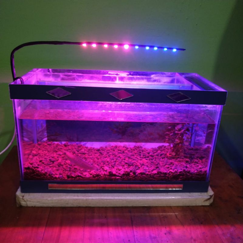 Jual Lampu Aquarium Led Dua Warna Biru Pink 10 Titik | Shopee Indonesia