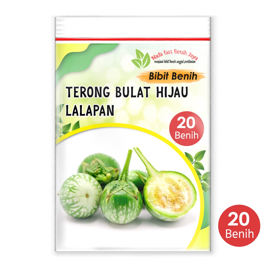 Nada fast benih jaya - 20 biji Benih terong hijau bulat lalapan - benih sayuran terong bulat
