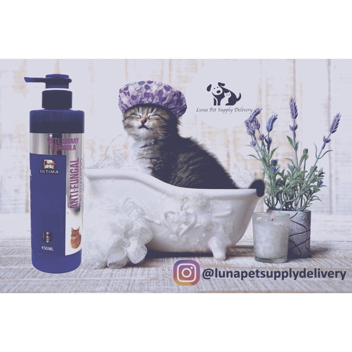 Jual kucingshampo cat shampoo antifungal,jamur,scabies,veterinary