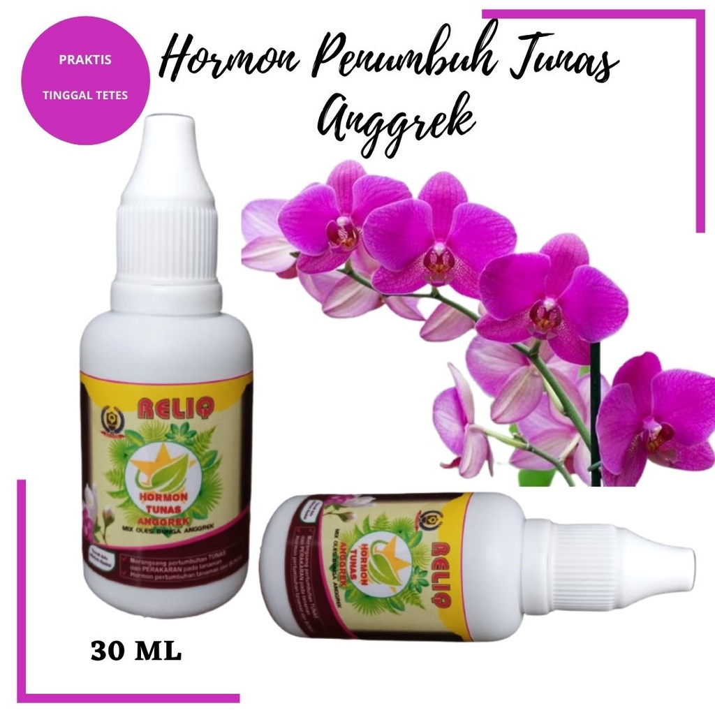 Jual Pupuk Pertumbuhan Tunas Anggrek, Hormon Tanaman Bunga Anggrek Agar ...