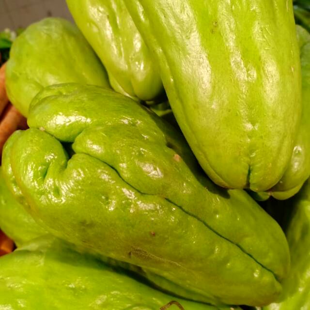 Jual Labu siam 1 pcs | Shopee Indonesia