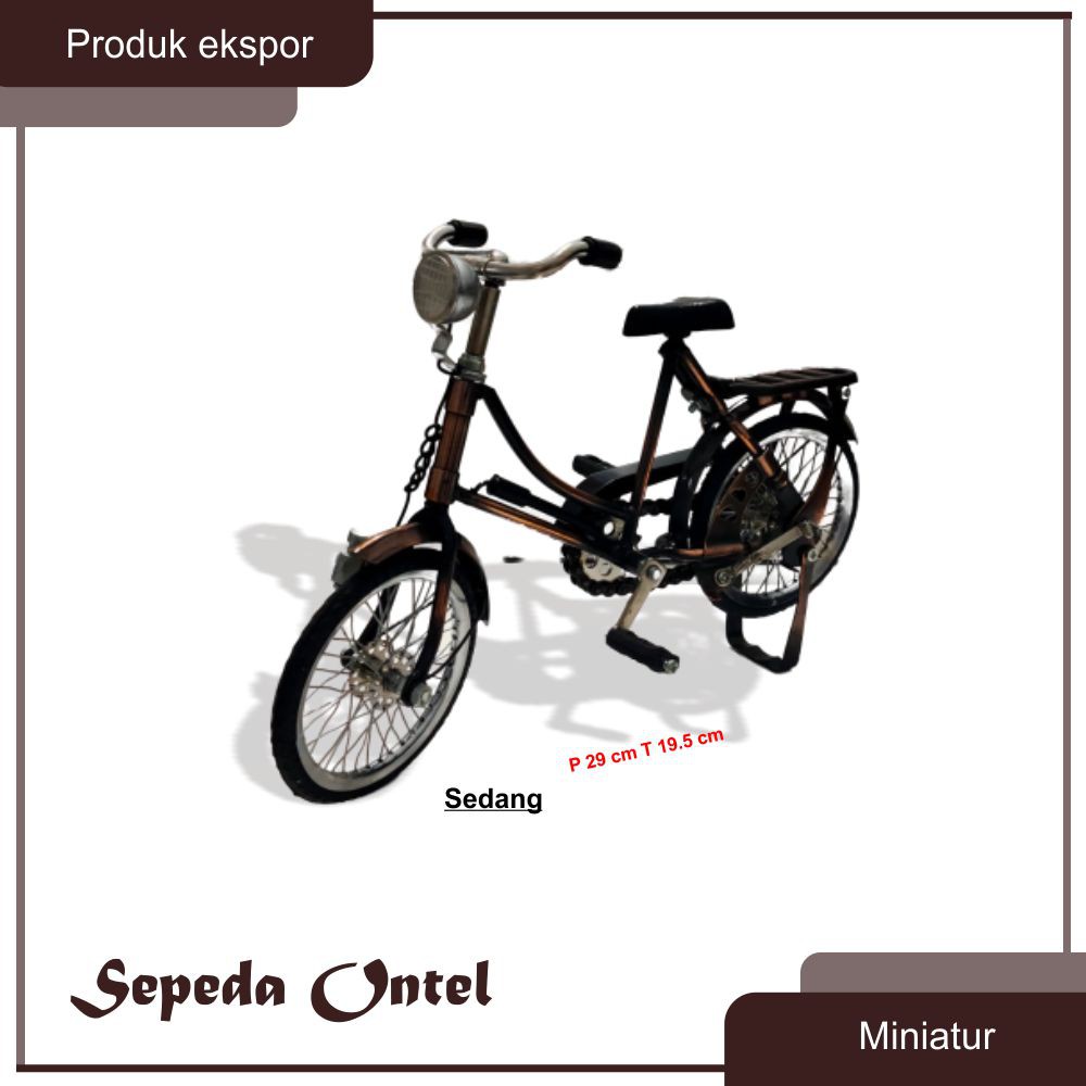 Jual Sepeda Onthel/Ontel Wanita Ukuran Sedang | Shopee Indonesia