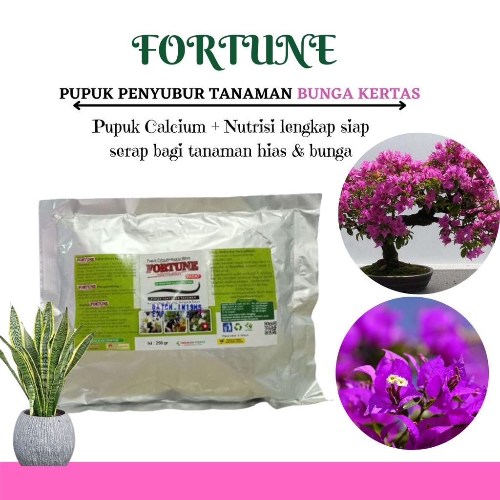 Jual Pupuk Bunga Bougenville, Pupuk Booster Bunga Terbaik Fortune ...