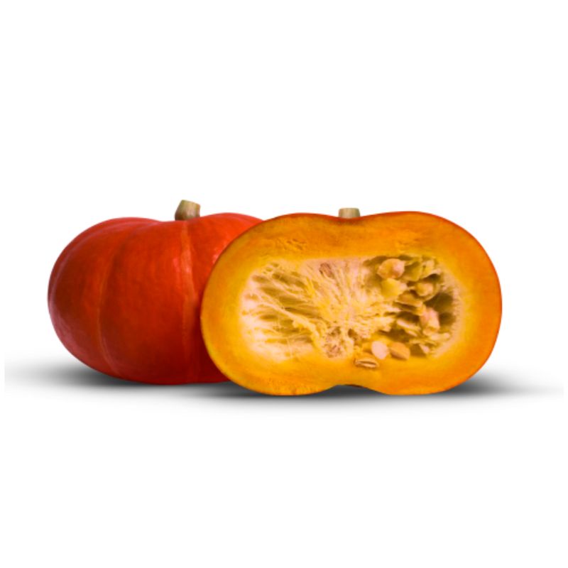 Jual 2 Biji Benih tanaman sayur sayuran Labu Kabocha Merah KAGUM F1 ...