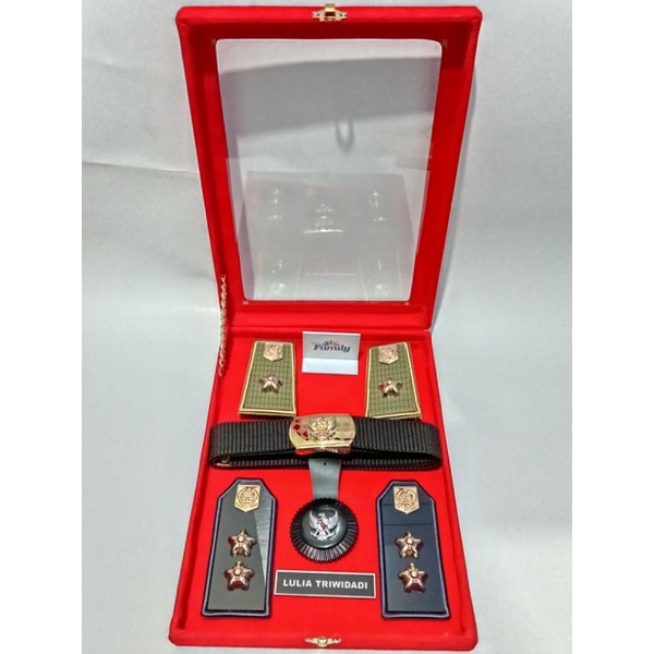 Jual Pangkat Pdh Lurah Pdh Pdu Box Set Custom | Shopee Indonesia