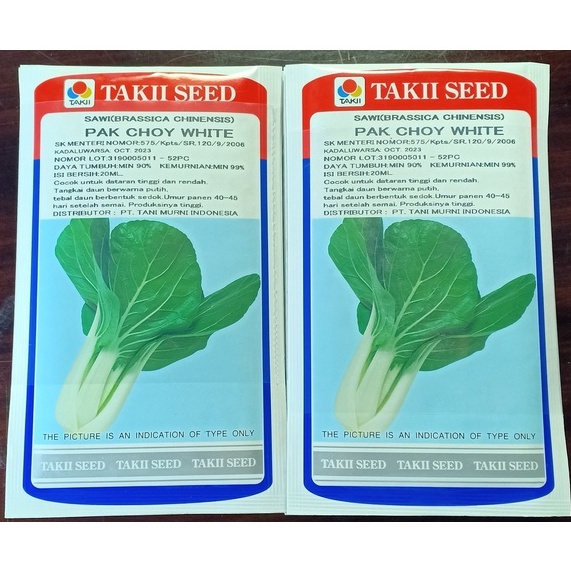 Jual Benih Bibit Sawi F1 Pak Choy White Takii Seed Shopee Indonesia