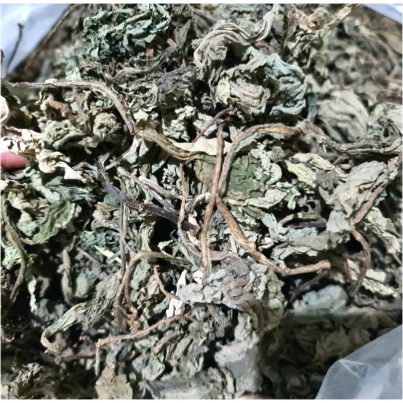 Daun Insulin Kering 500gr - Herbal Untuk Diabetes