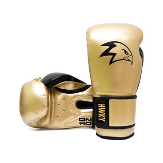 Focus Boxing Gloves beautyfull Alabaster