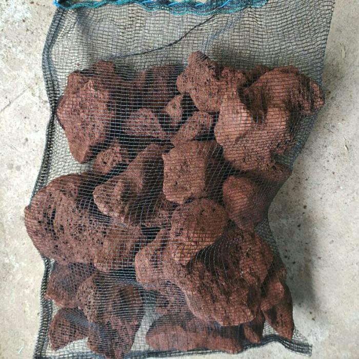 Jual Lavarock Lava Rock Media Filter Rumah Bakteri 5Kg Shopee Indonesia